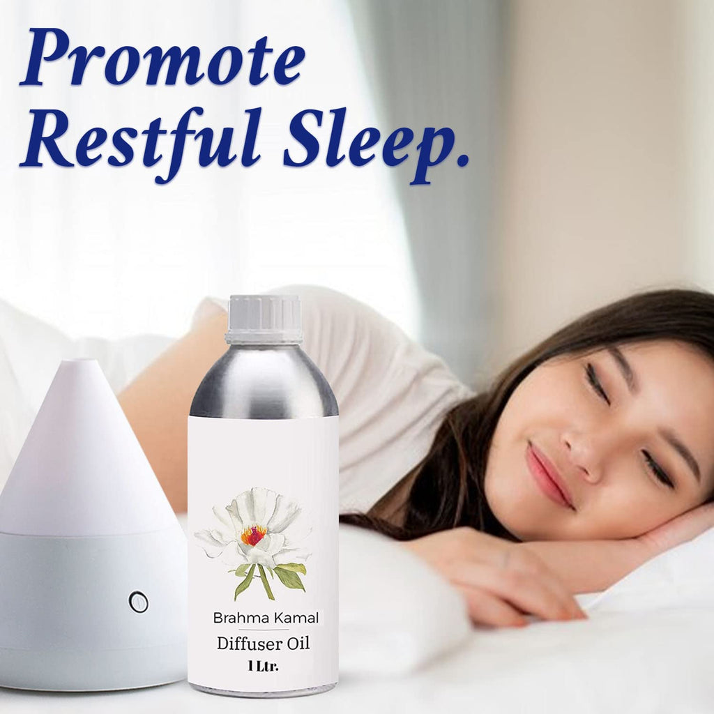 Diffuser Oil 1L T39459