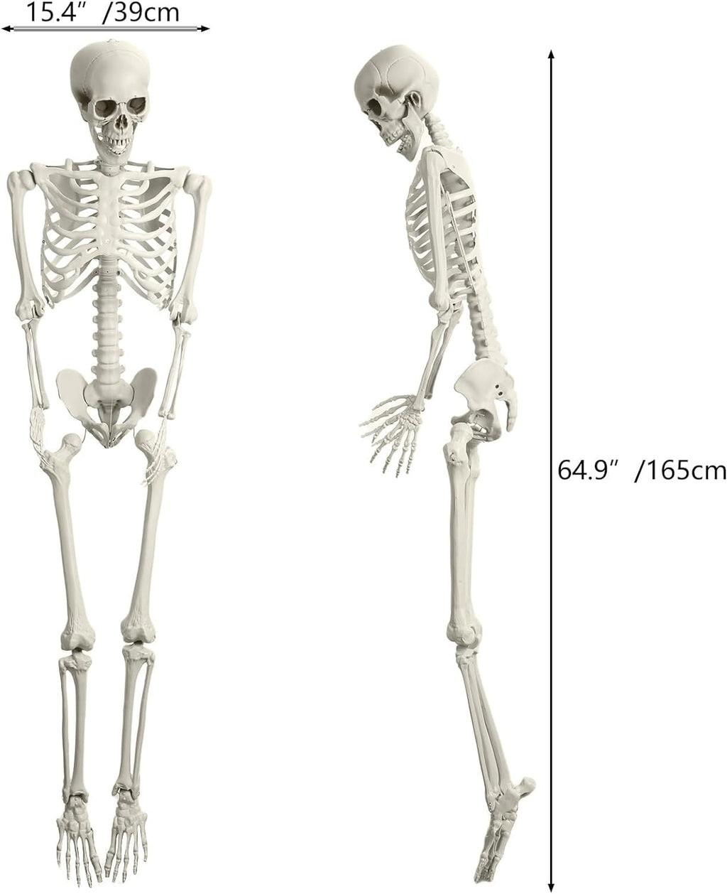 Halloween Skeleton Decoration 65inch Plastic Life Size S856871