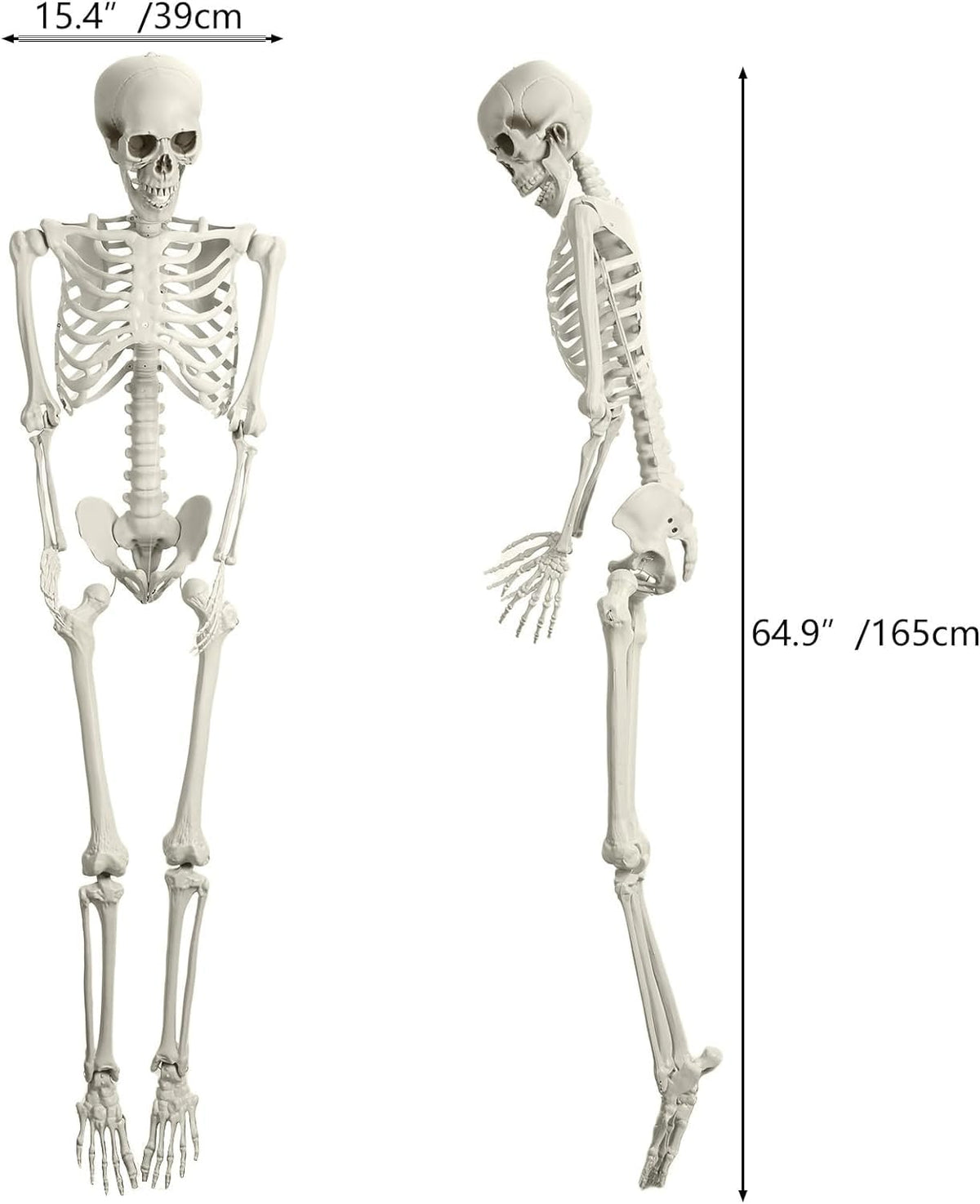Halloween Skeleton Decoration 65inch Plastic Life Size S856871