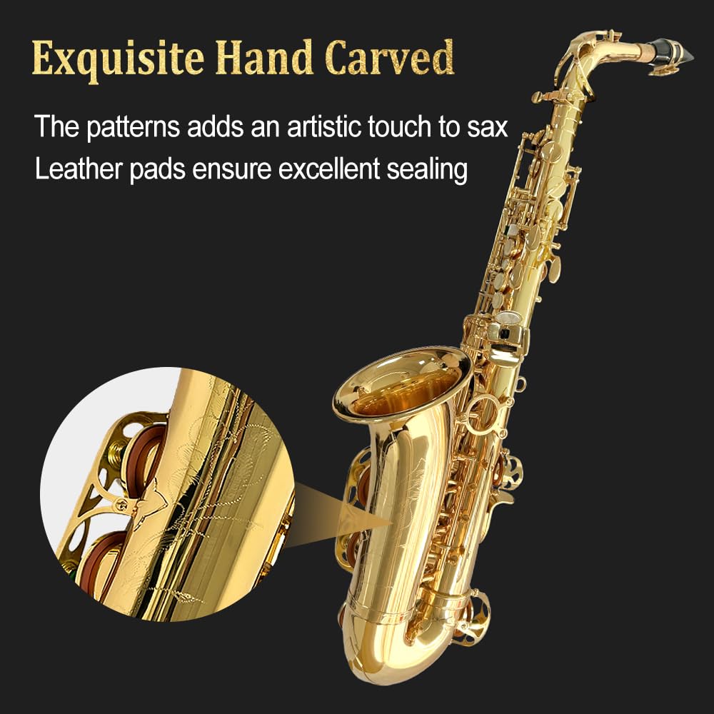 Alto Saxophone with Case & 10 Reeds D516