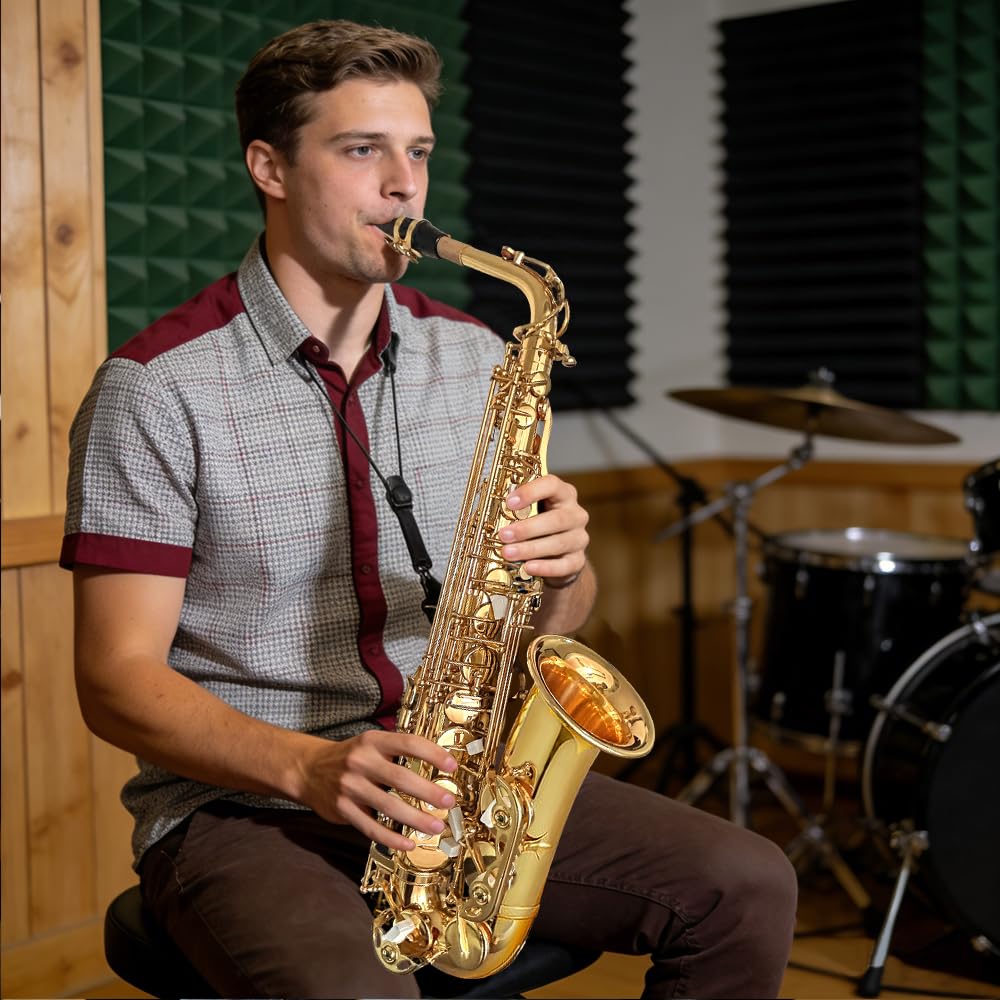 Alto Saxophone with Case & 10 Reeds D516