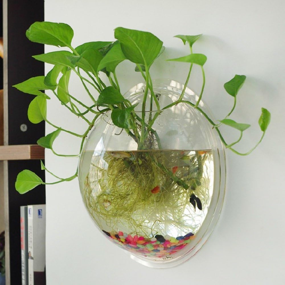 Wall Mounted Acrylic Fish Bowl I7819