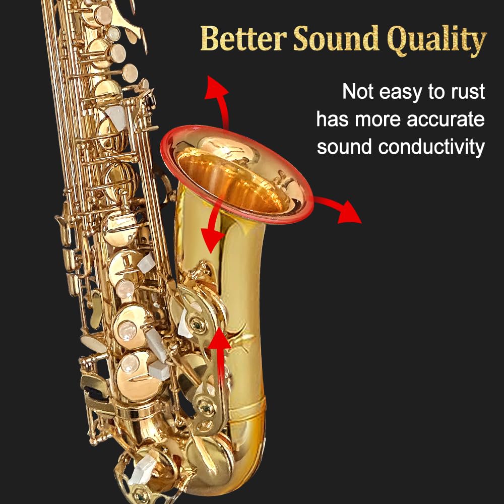 Alto Saxophone with Case & 10 Reeds D516