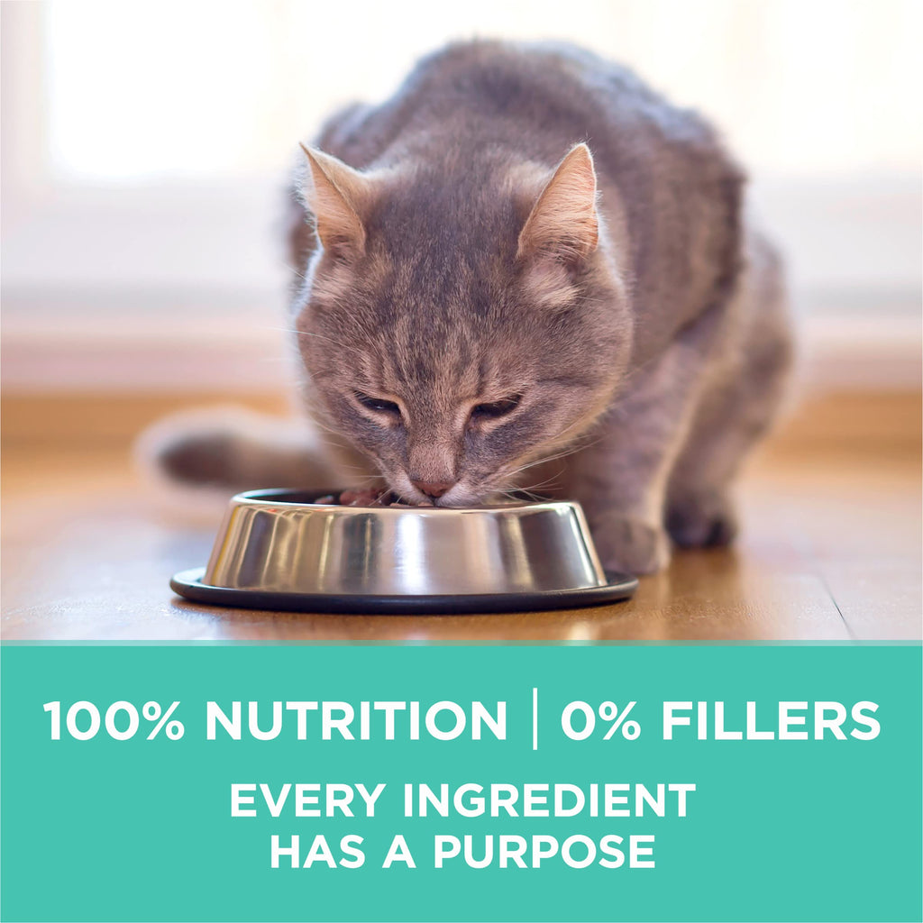 Sensitive Skin and Stomach Dry Cat Food 3.5 lb Bag N386400