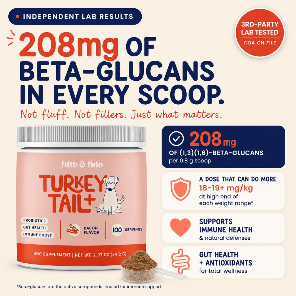 Turkey Tail Mushroom for Dogs Bacon Powder Probiotic H974774