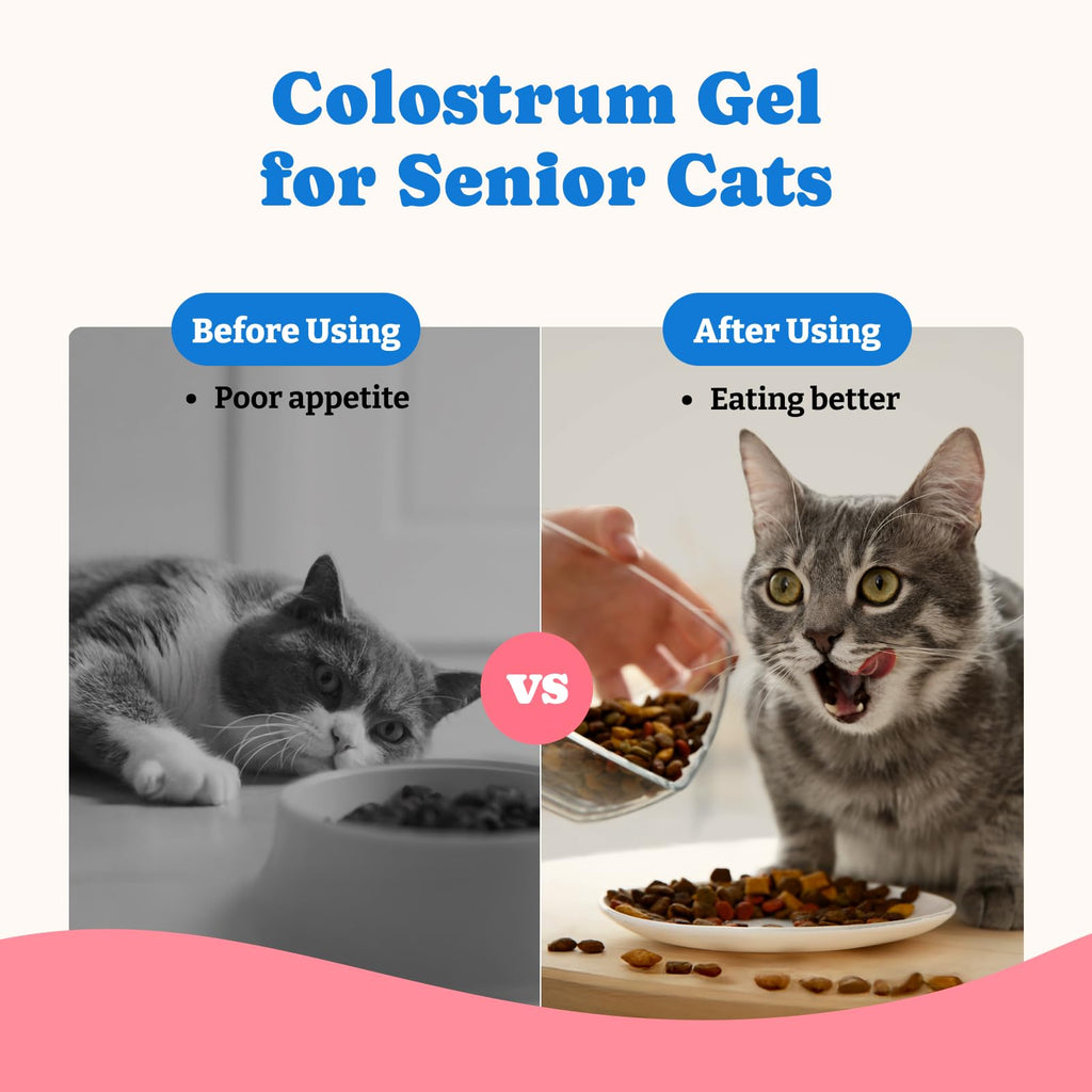 Bovine Colostrum Gel for Dogs & Cats C499754