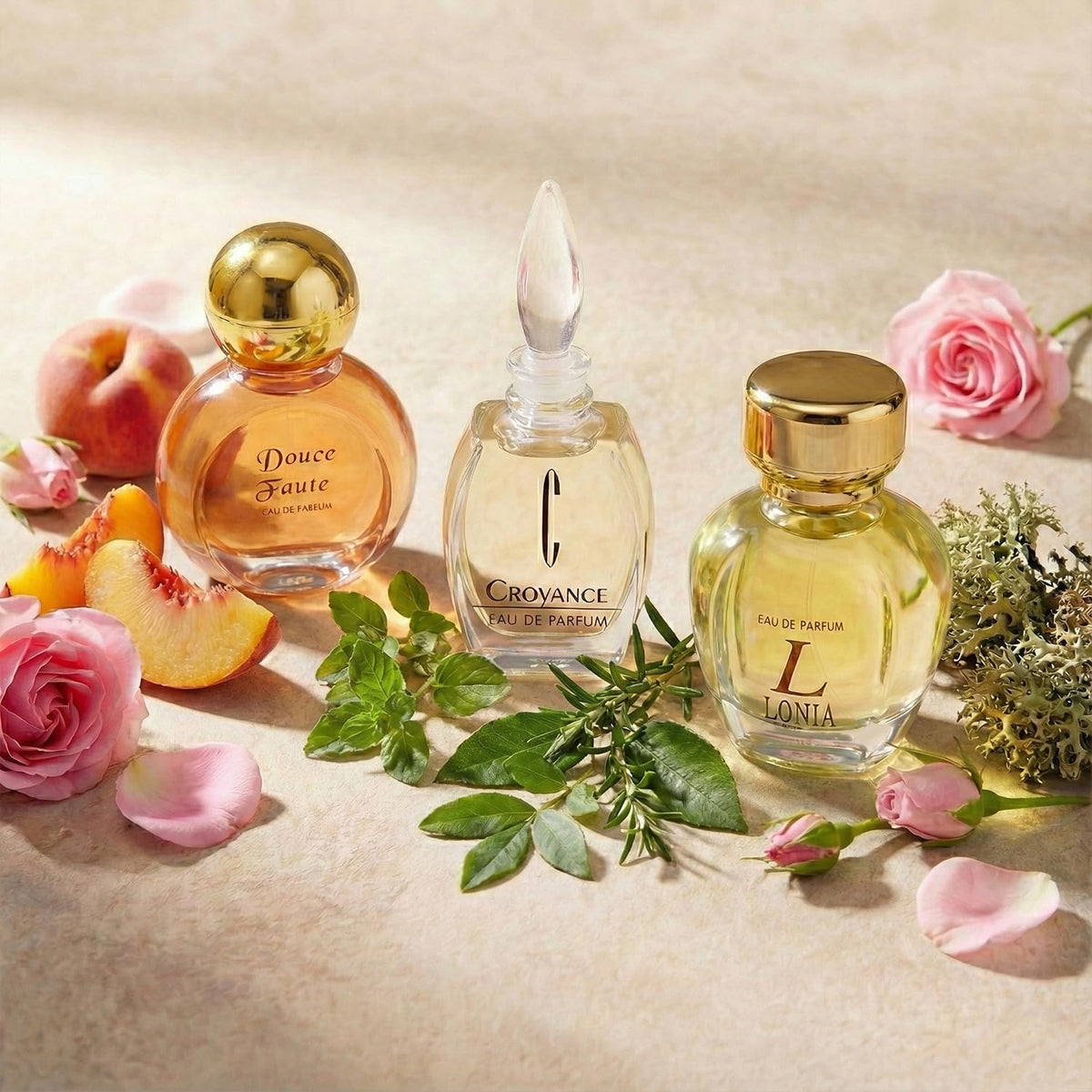 10 Eaux de Parfum Gift Box Y8487