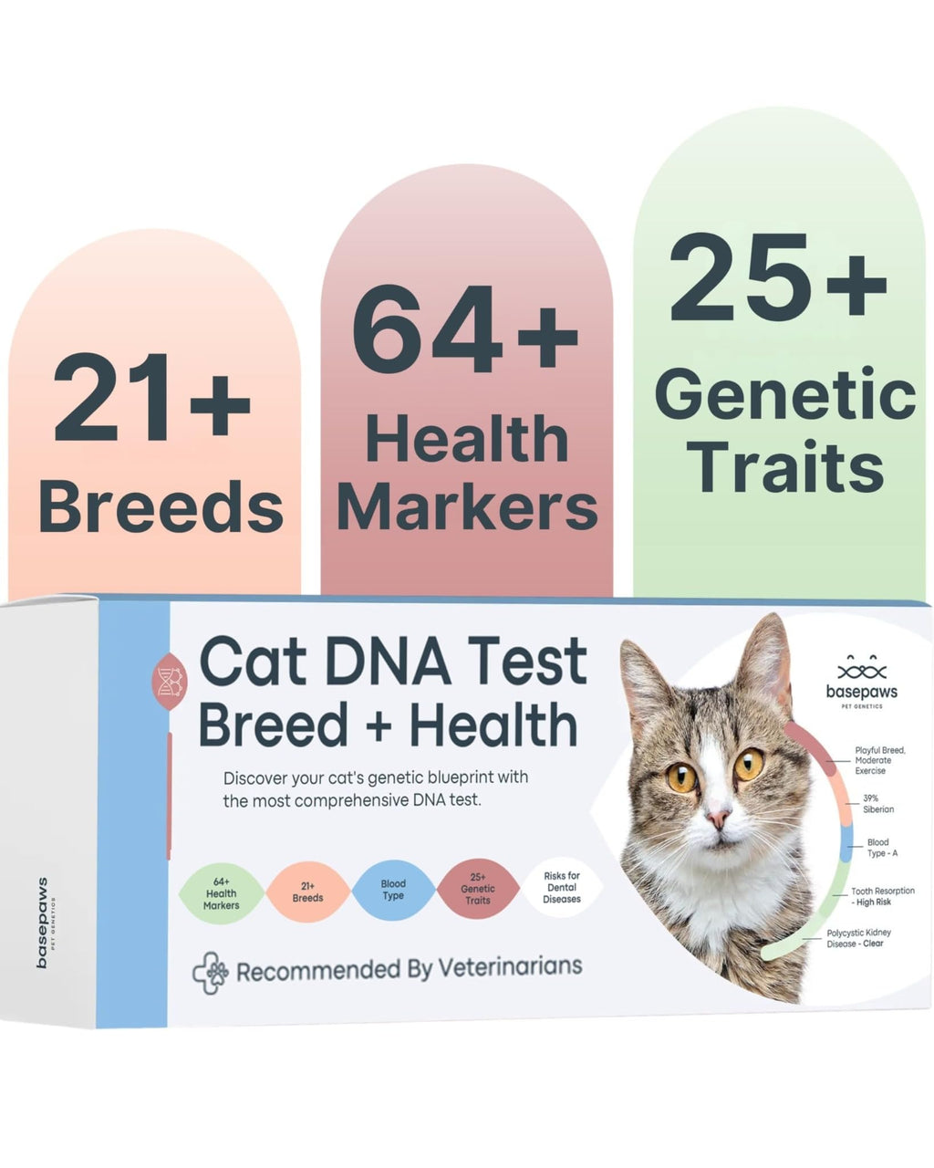 Cat DNA Test Kit J287