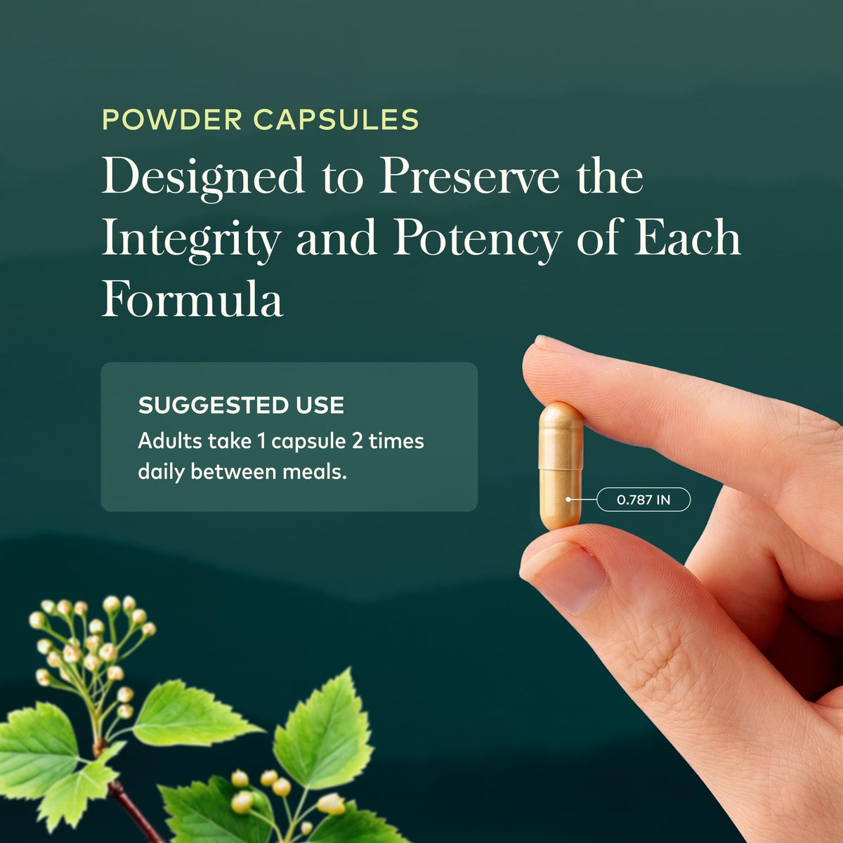 Maca Root 60 Vegan Capsules X5227
