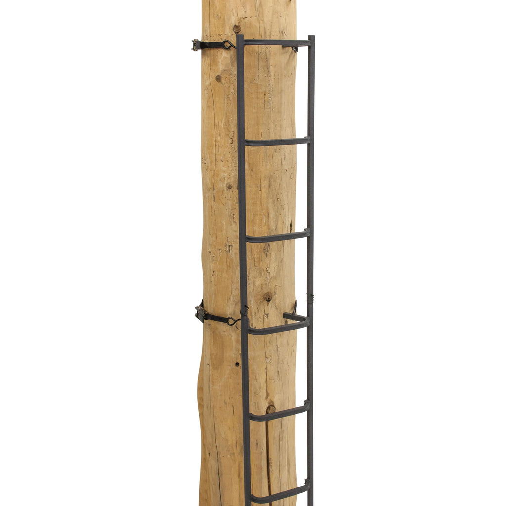 20' Tree Ladder with Non-Slip Coating P2281
