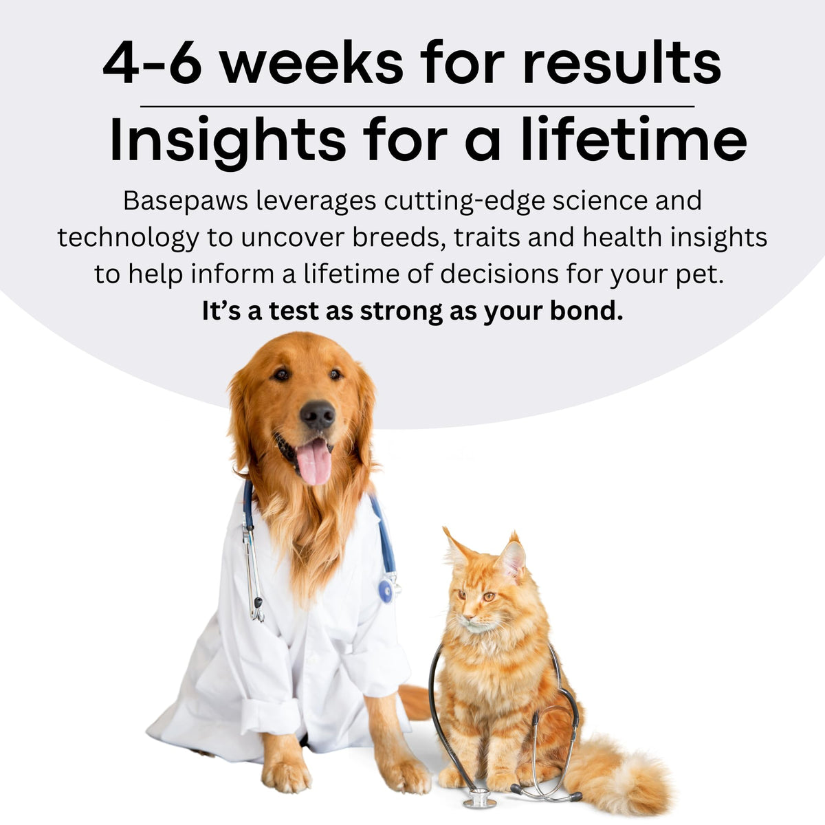 Cat DNA Test Kit J287