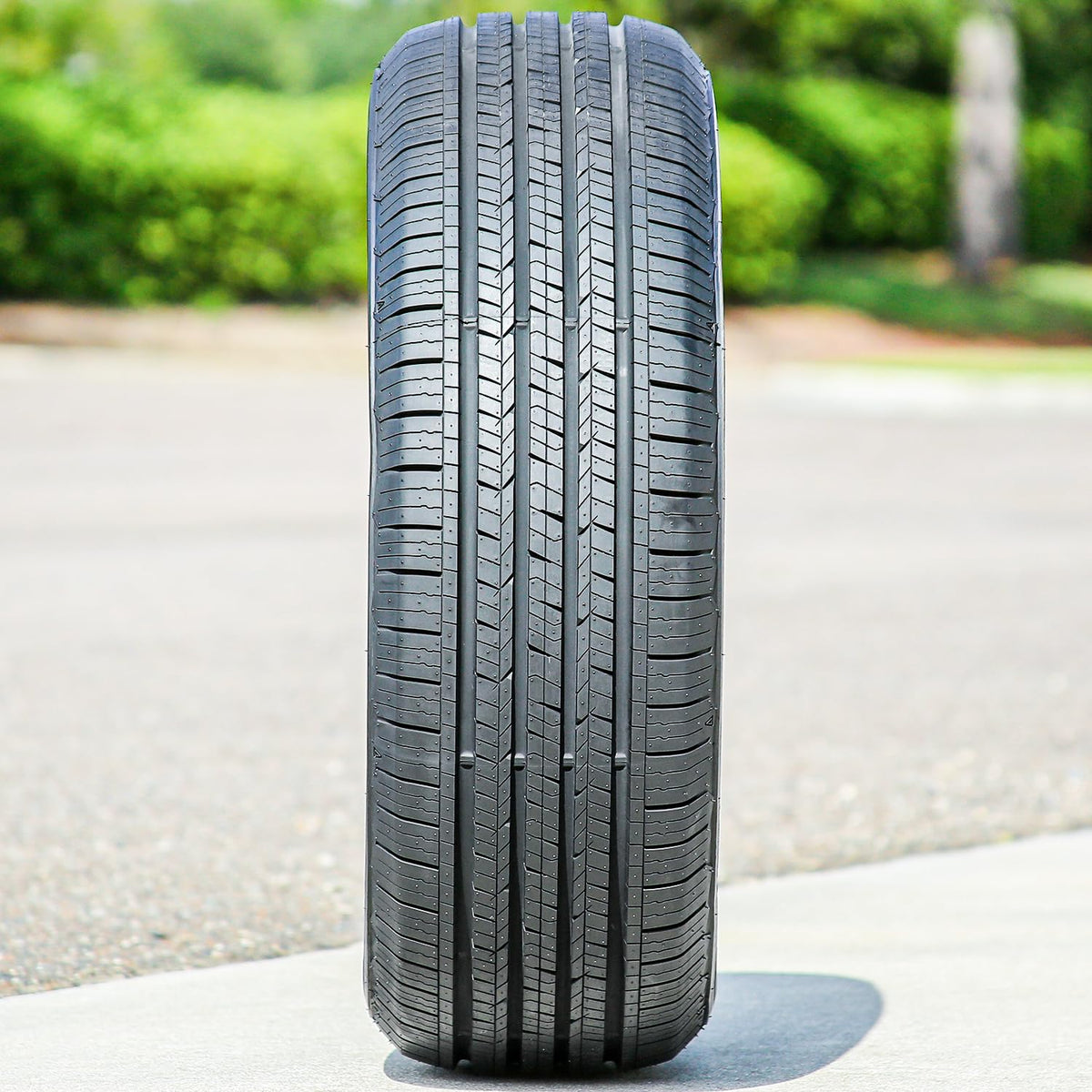 Black Touring Passenger Tire D565870