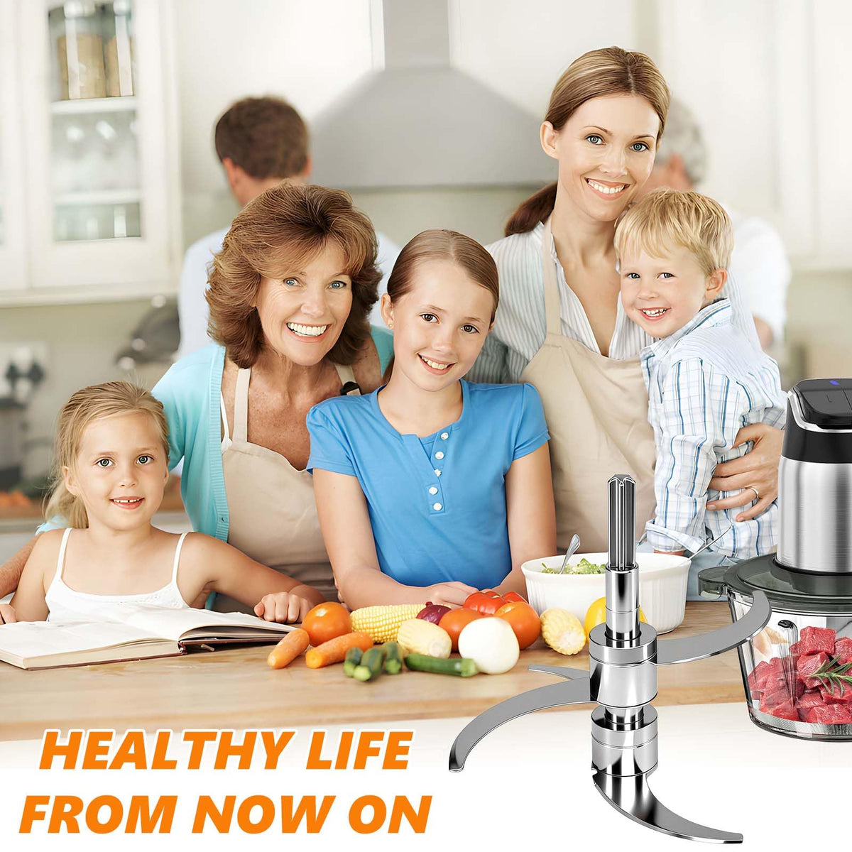 Stainless Steel Food Processor Blade Q6643