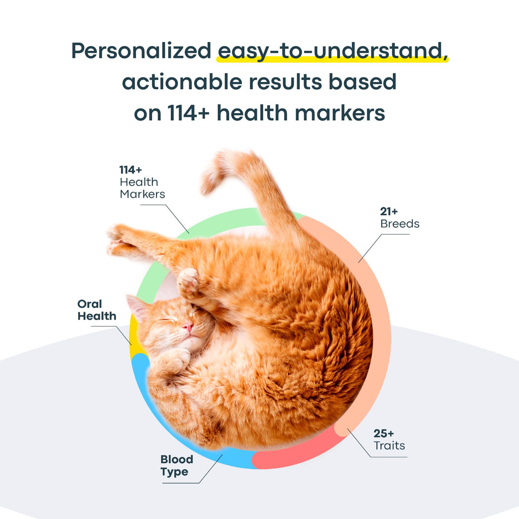 Cat DNA Test Kit J287