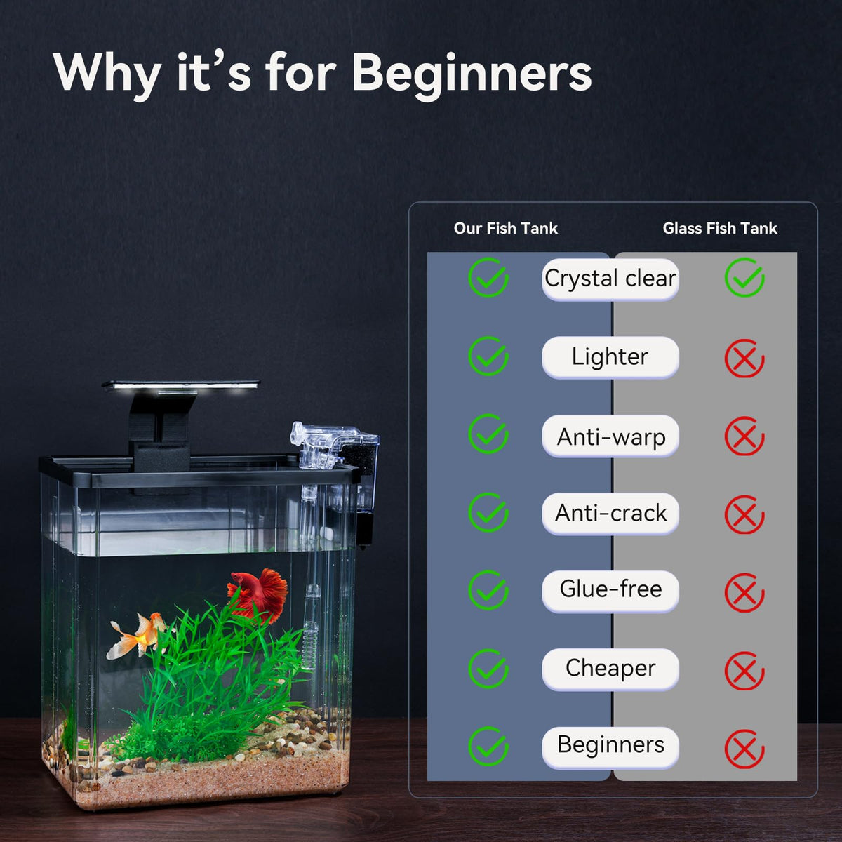 1.5 Gallon Aquarium Starter Kit with Filteration Lighting T845