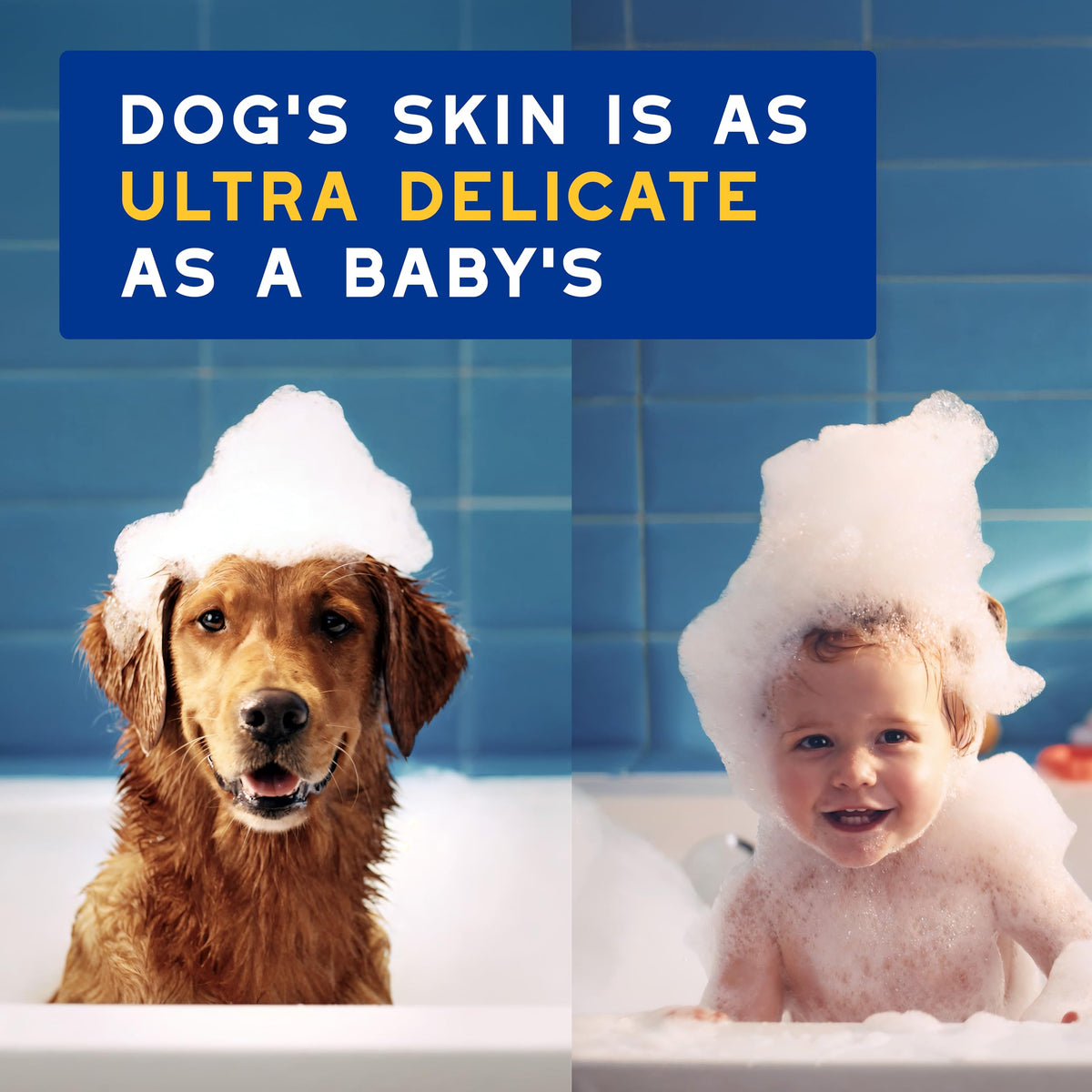 Oatmeal Dog Shampoo, 16 fl oz U2241