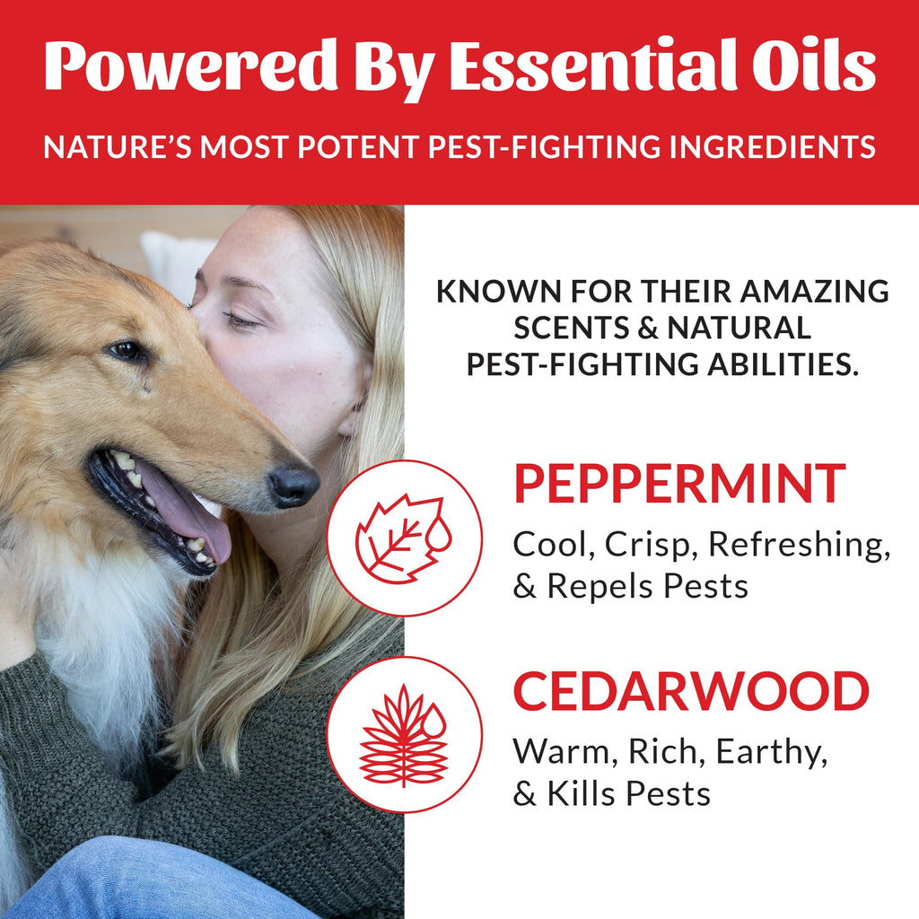Natural Flea and Tick Dog Shampoo 16 oz R8266