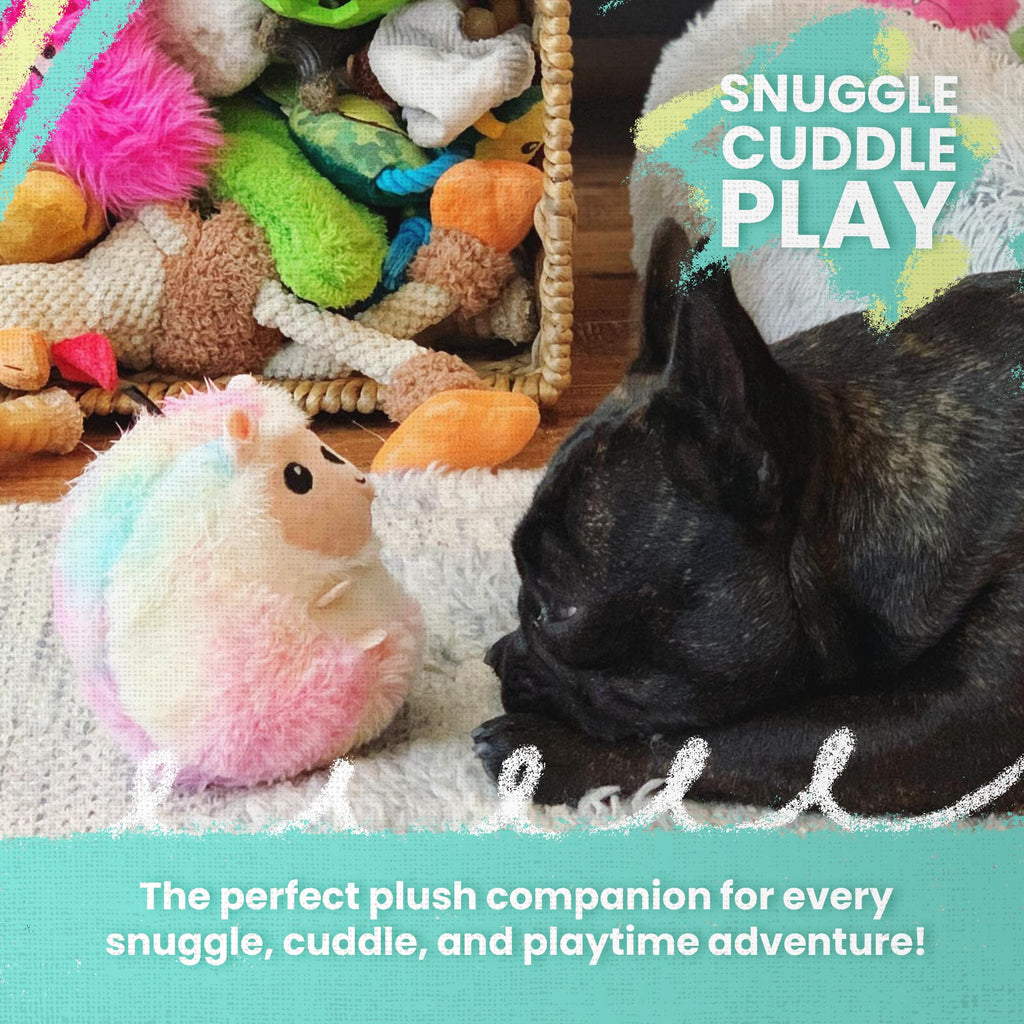 Dog Toy with Squeaker and Crinkle I34880