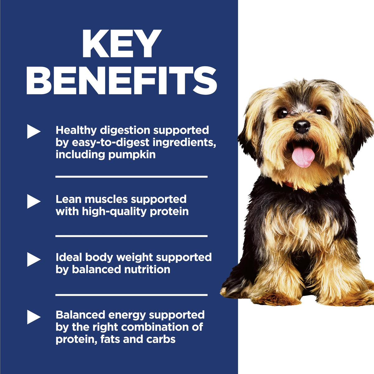 Dry Dog Food X591237