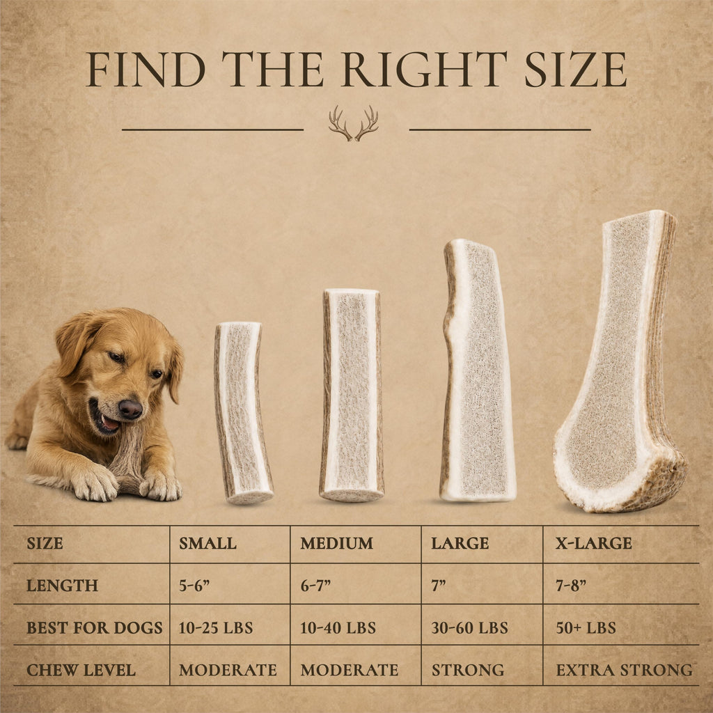 Split Elk Antler for Large Dogs, 2 Pack C82278