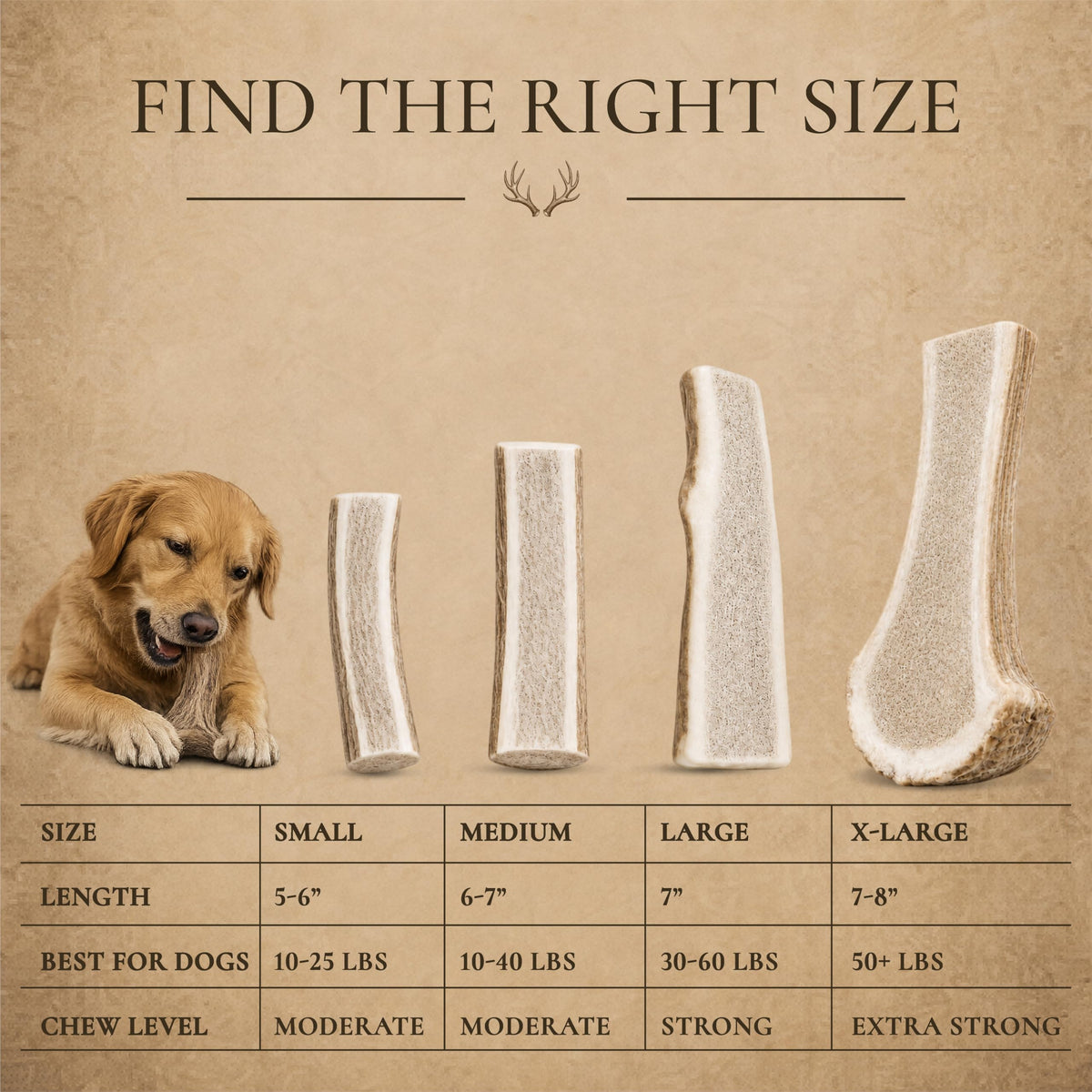 Split Elk Antler for Large Dogs, 2 Pack C82278