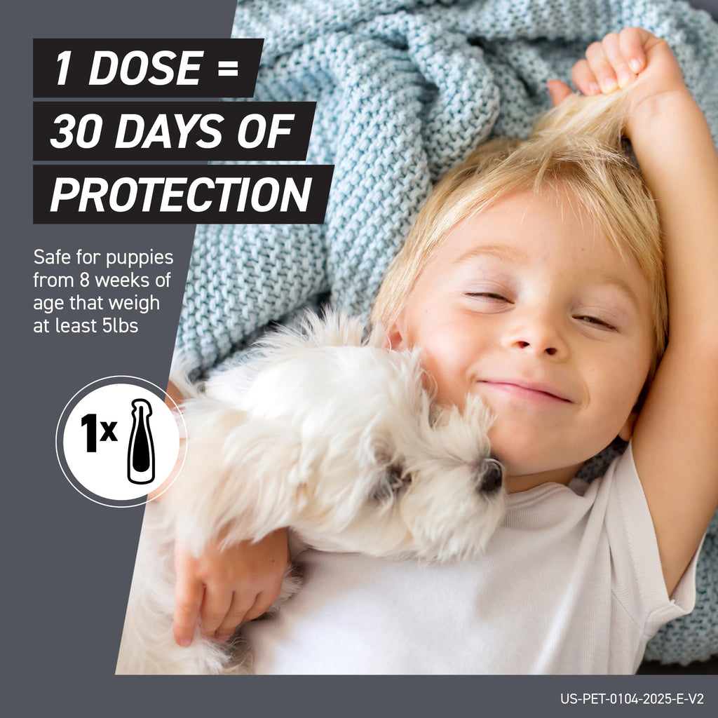 Flea & Tick Treatment for X-Small Dogs 5-10 lbs. Count of 3 P690