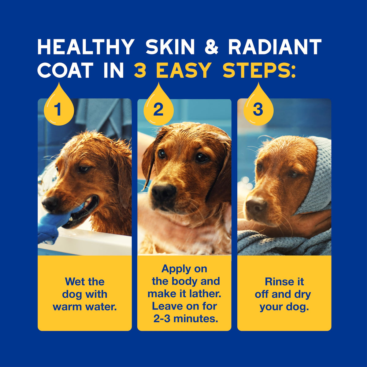 Oatmeal Dog Shampoo, 16 fl oz U2241