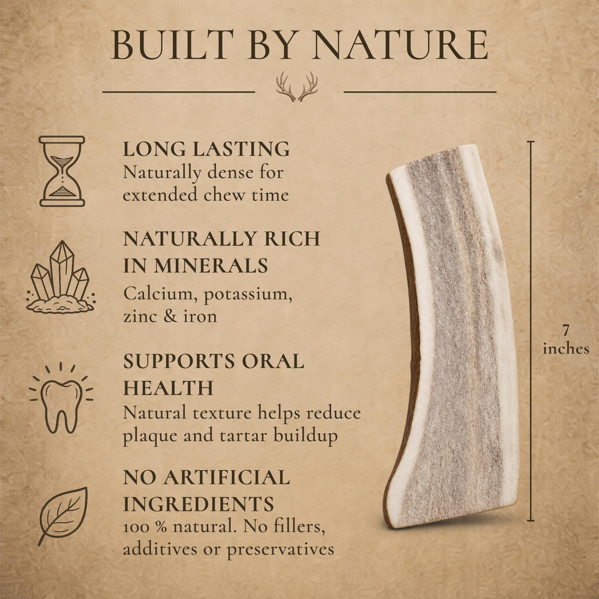 Split Elk Antler for Large Dogs, 2 Pack C82278