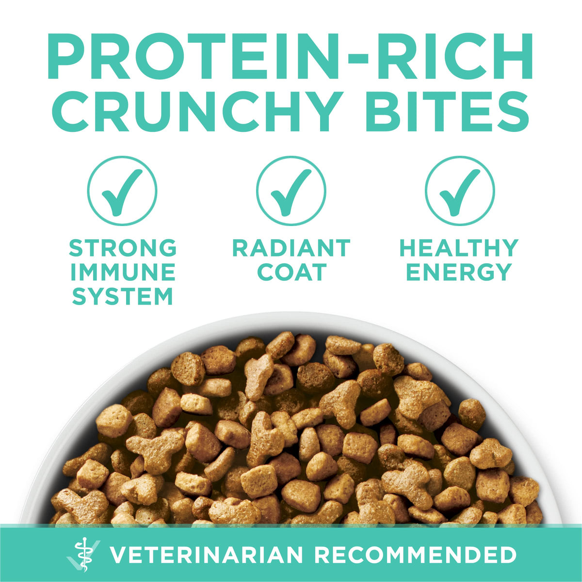 Sensitive Skin and Stomach Dry Cat Food 3.5 lb Bag N386400