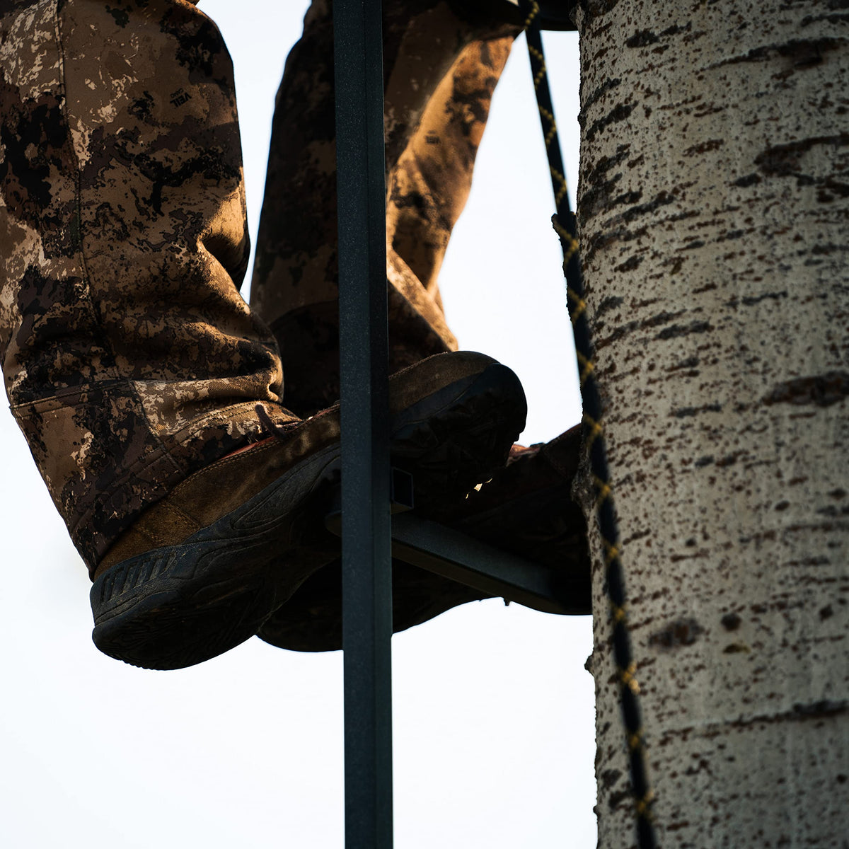 20' Tree Ladder with Non-Slip Coating P2281