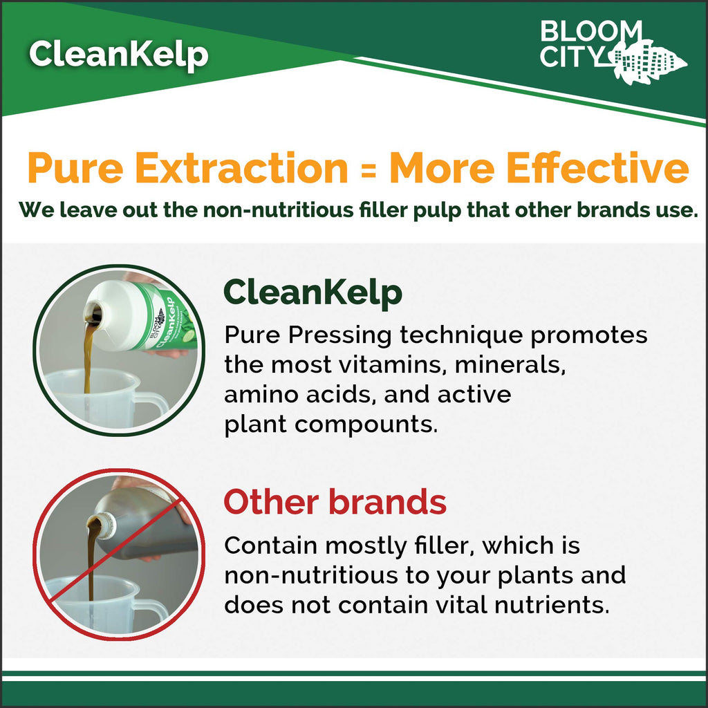 Seaweed and Kelp Liquid Fertilizer 1 Gal H239957