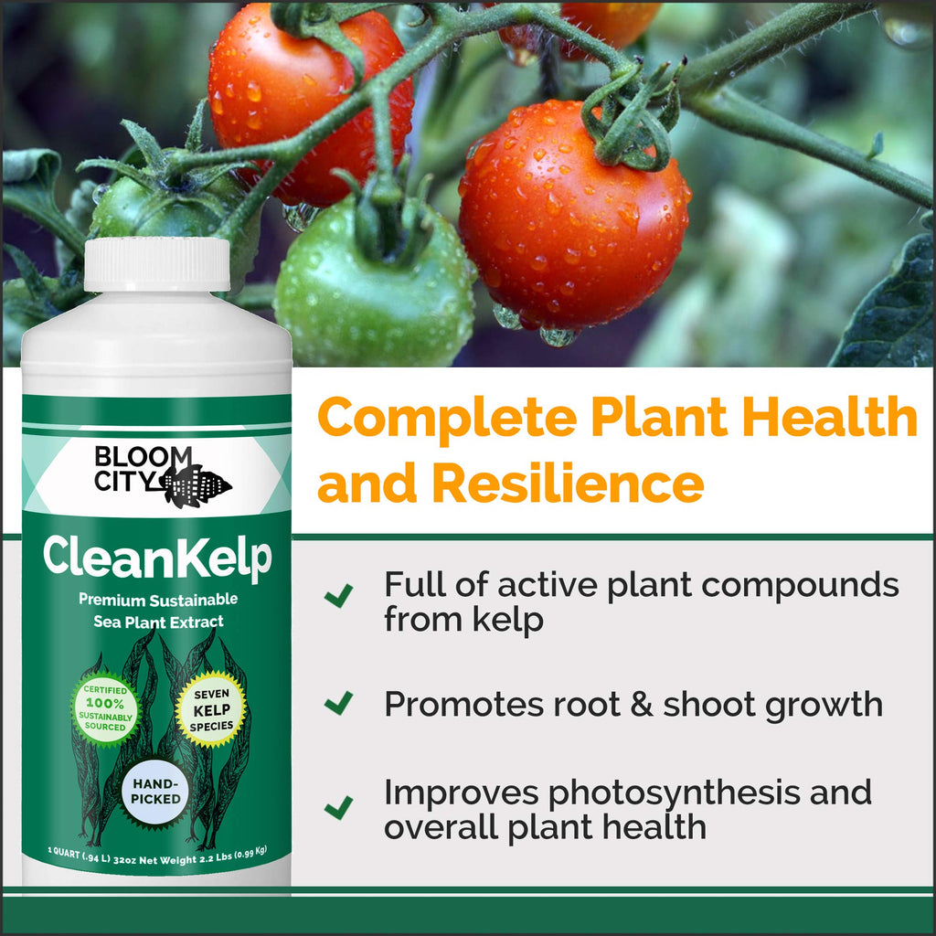 Seaweed and Kelp Liquid Fertilizer 1 Gal H239957
