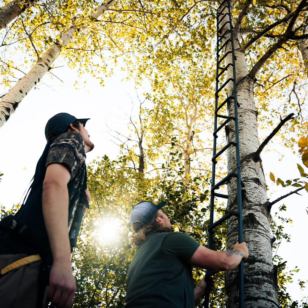 20' Tree Ladder with Non-Slip Coating P2281