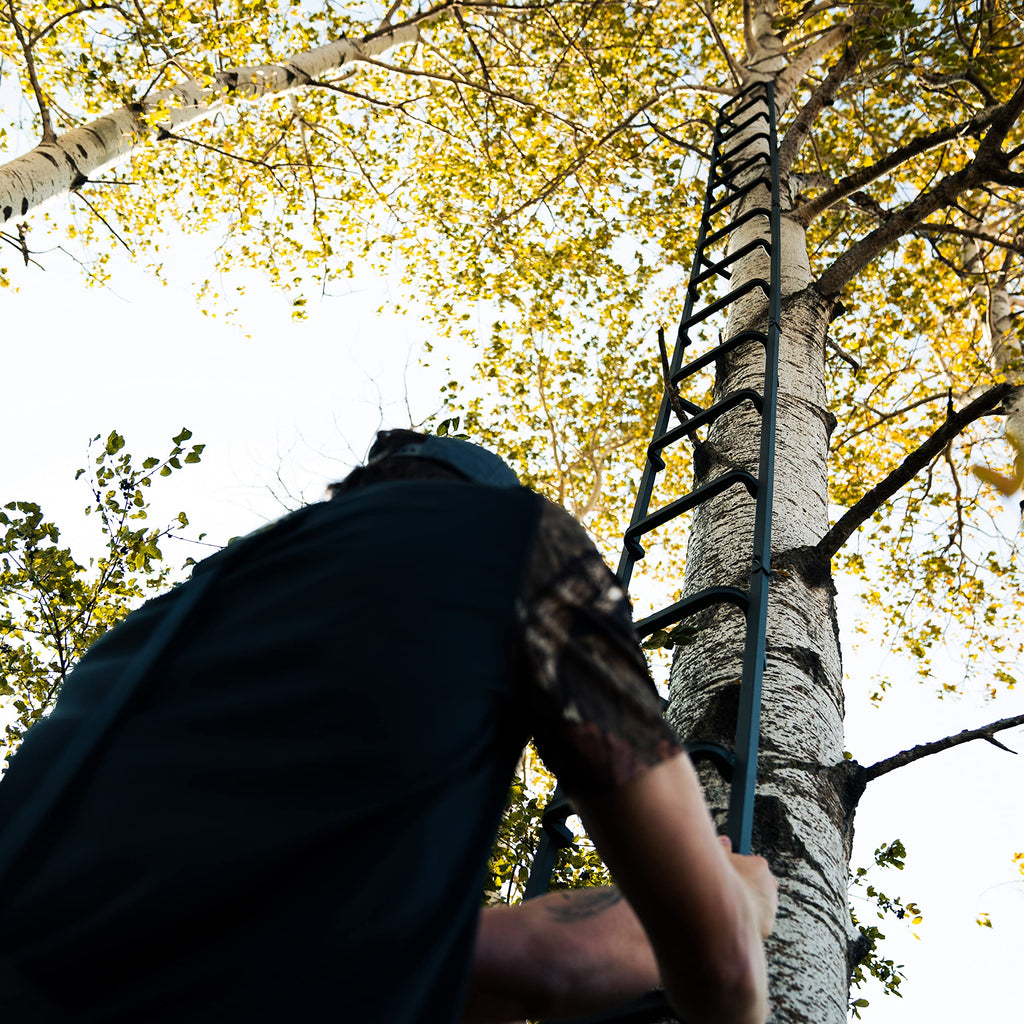 20' Tree Ladder with Non-Slip Coating P2281