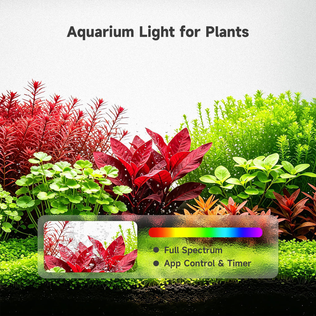 5 Gallon Smart Fish Tank Aquarium Kit A725207