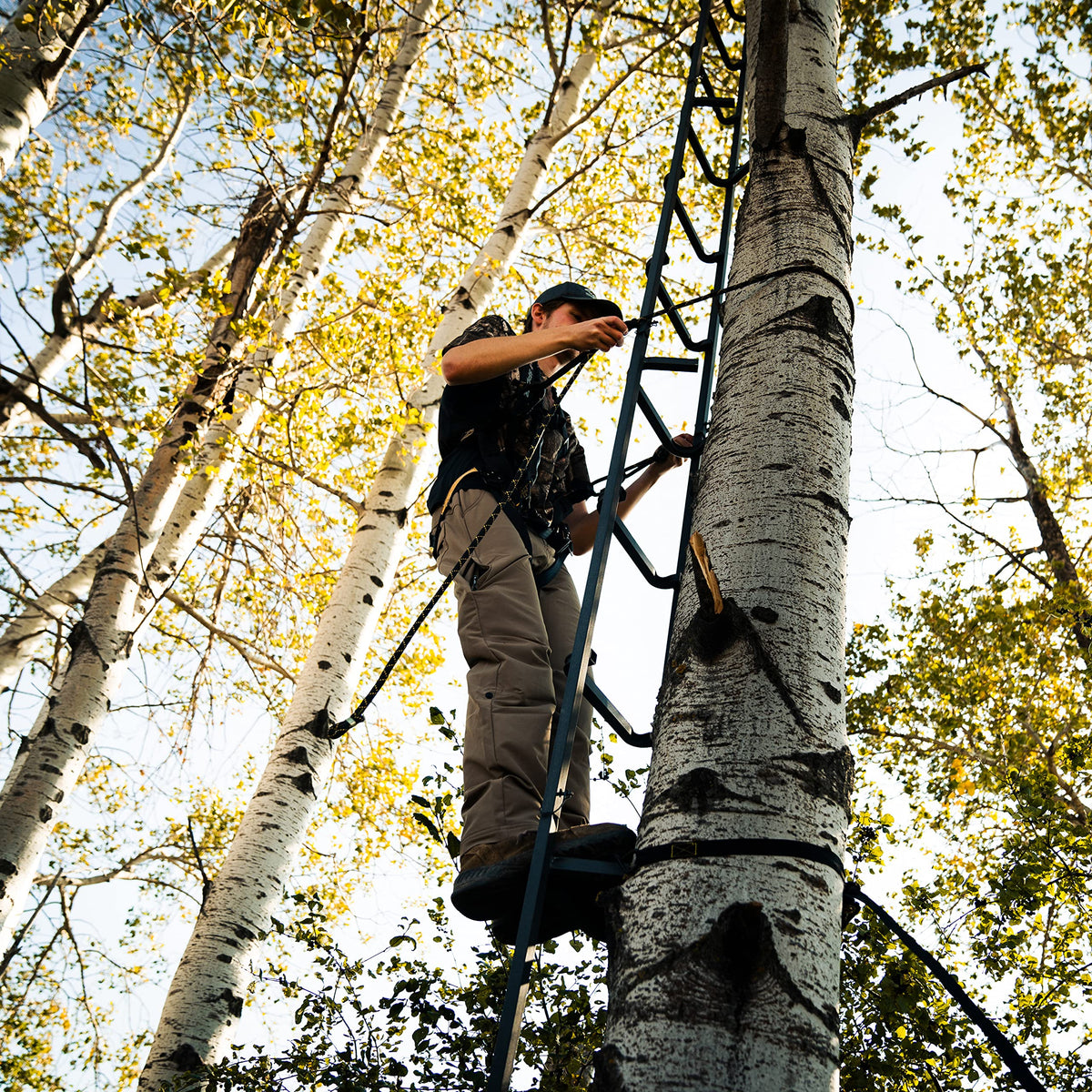 20' Tree Ladder with Non-Slip Coating P2281